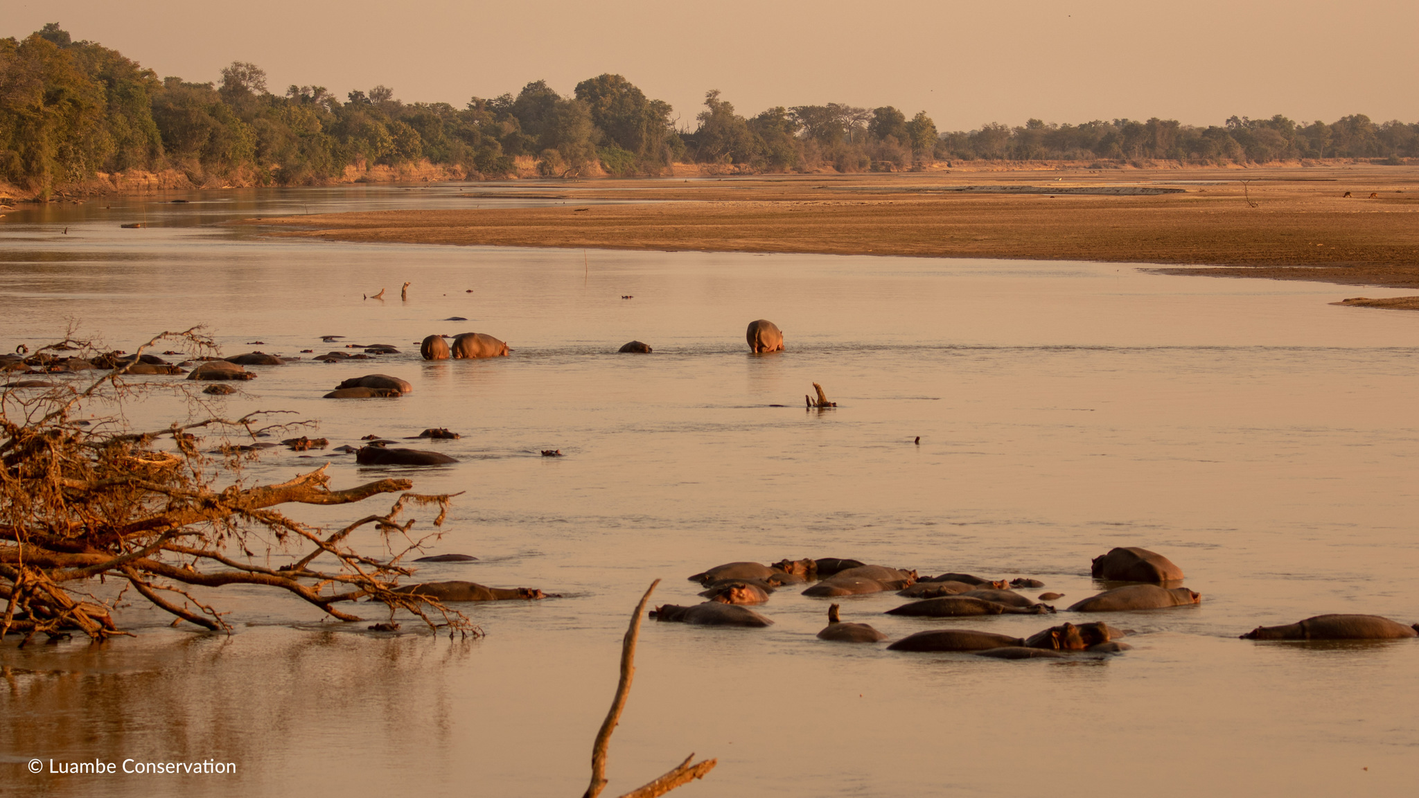 Luambe Camp