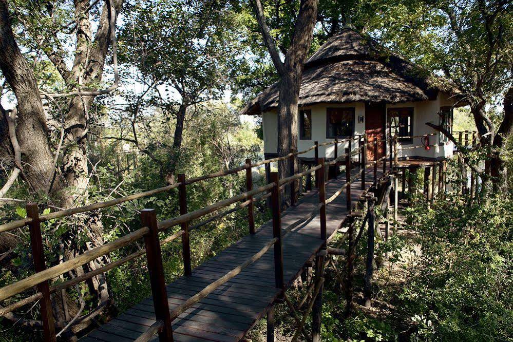 Sanctuary Sussi & Chuma
