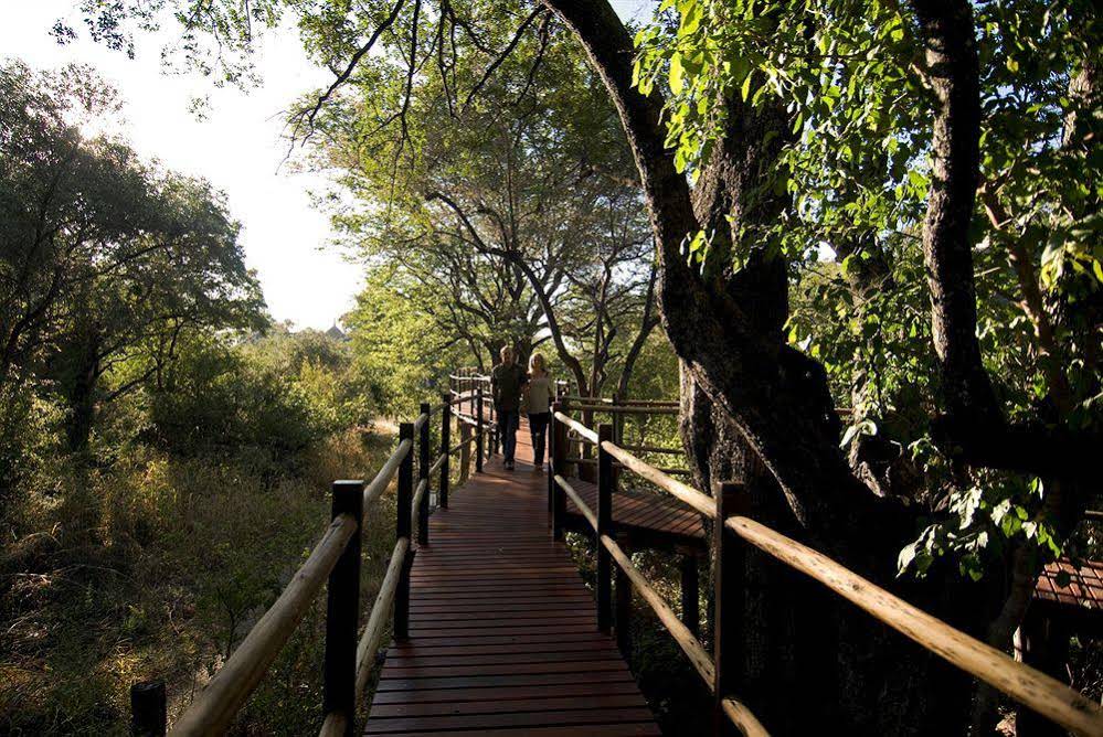 Sanctuary Sussi & Chuma
