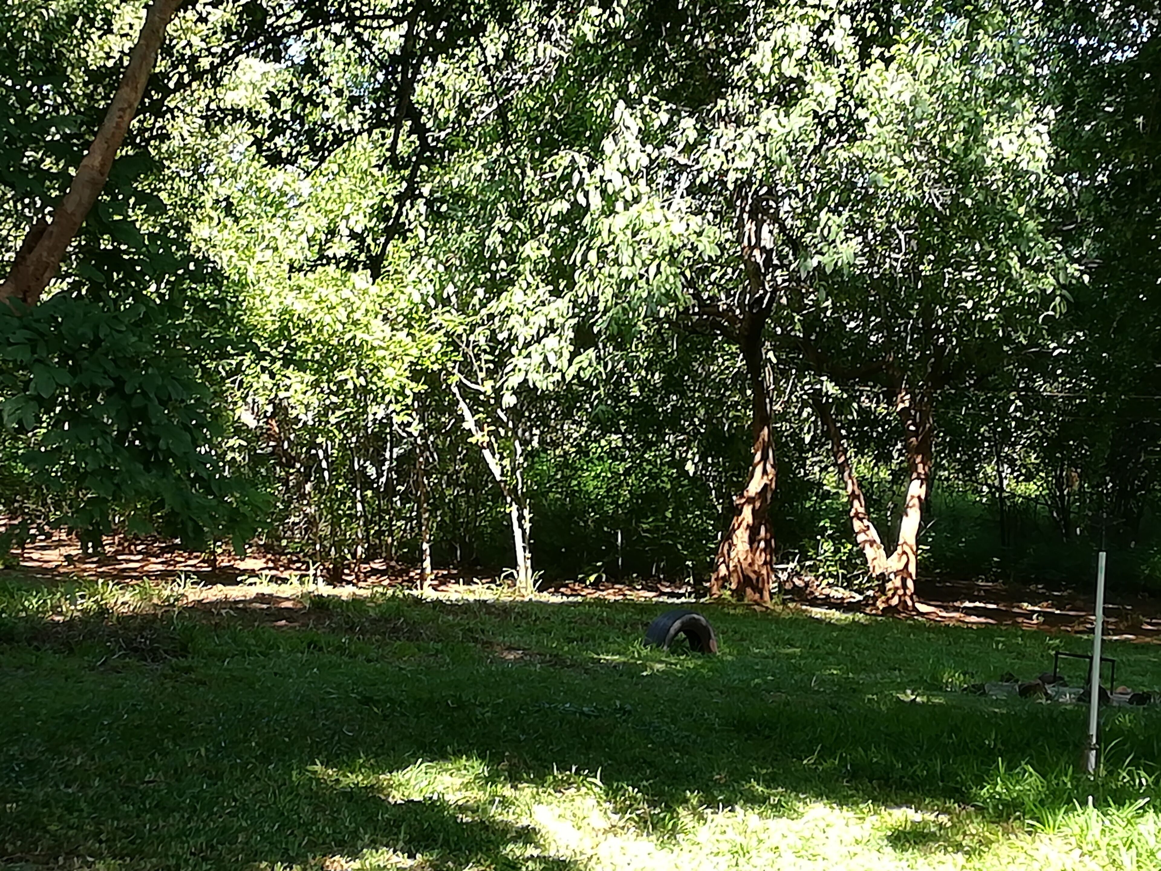 Mount Hermon Safari Cottages