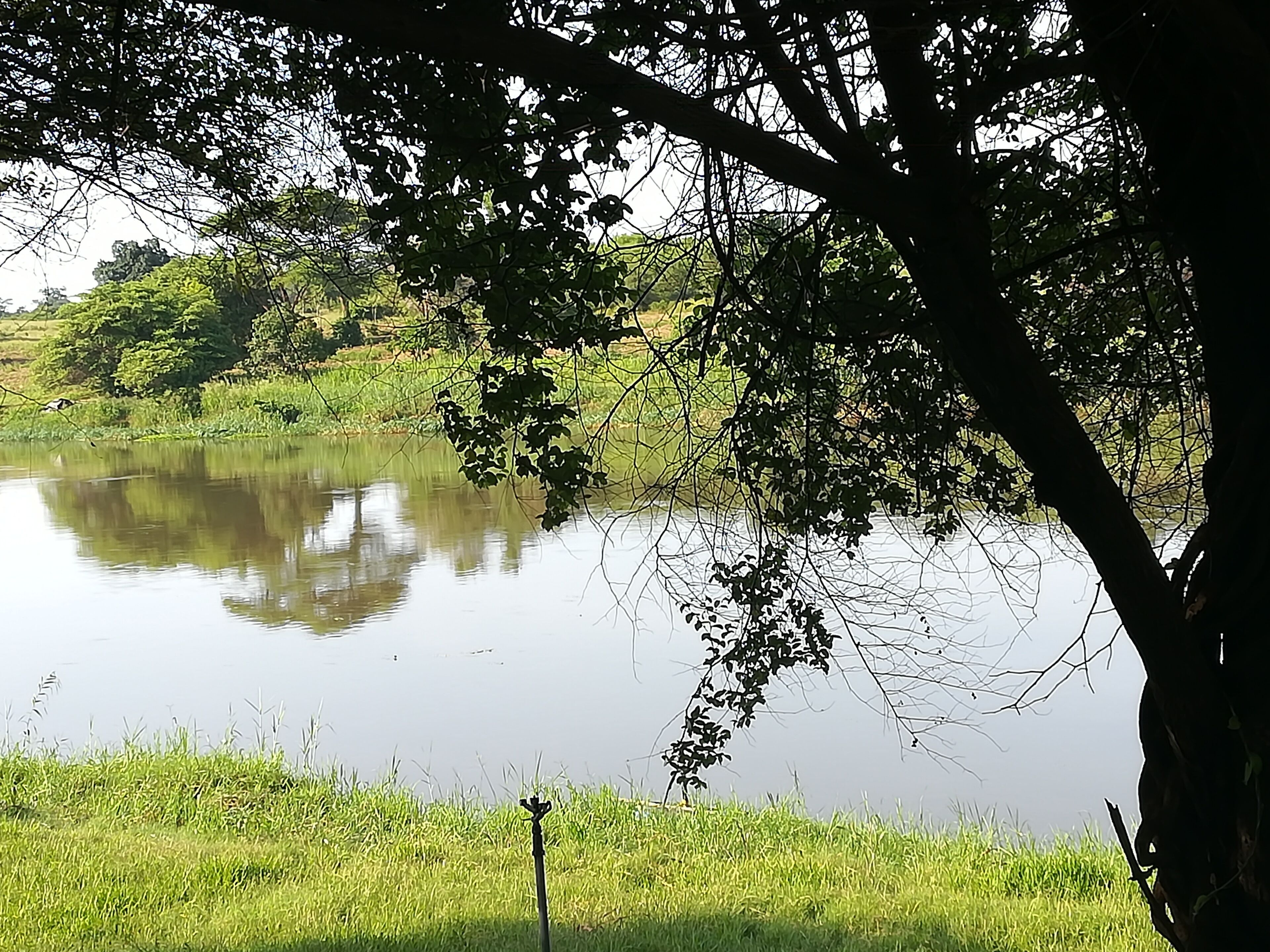 Mount Hermon Safari Cottages