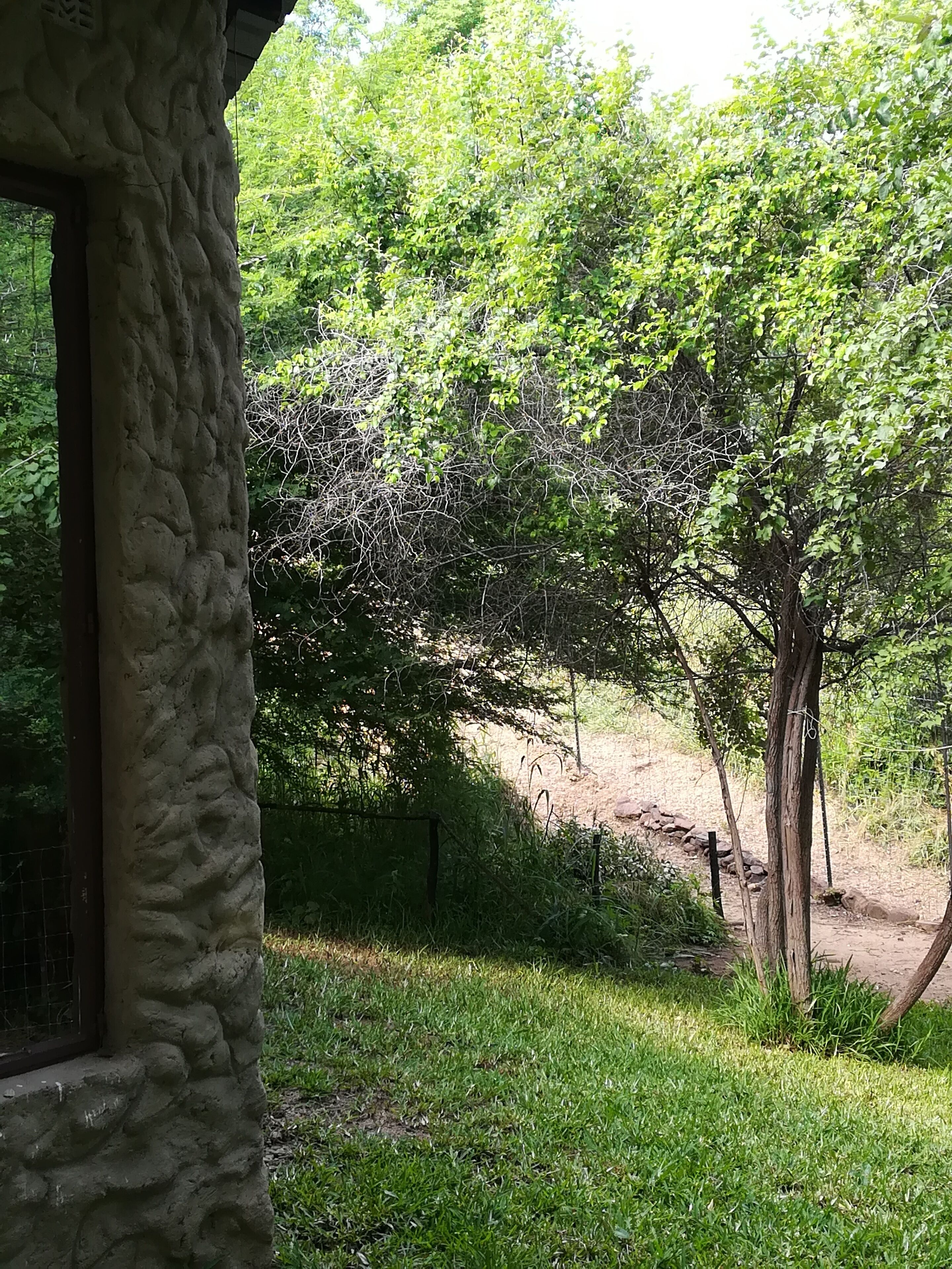 Mount Hermon Safari Cottages