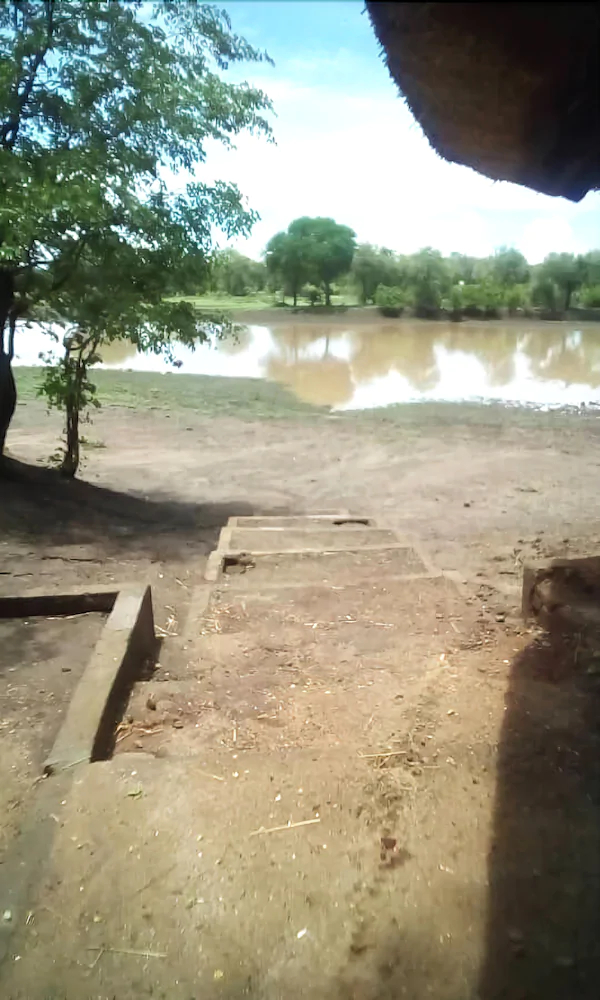 Mophy Budget Safari Lagoon Camp