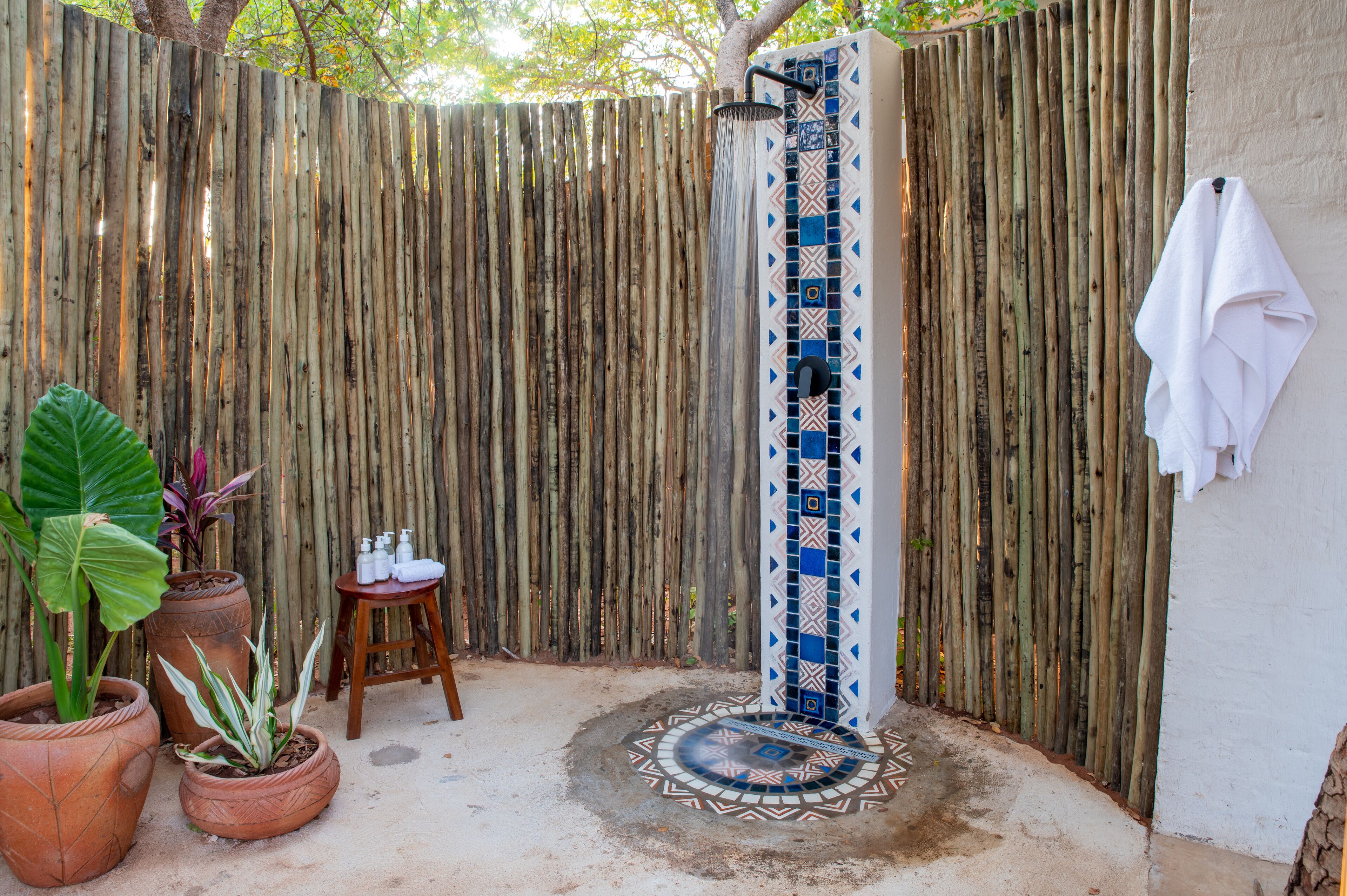 Shongwe Oasis