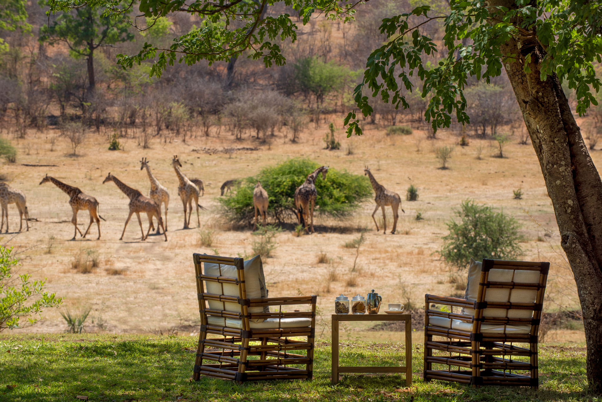 Stanley & Livingstone Boutique Hotel