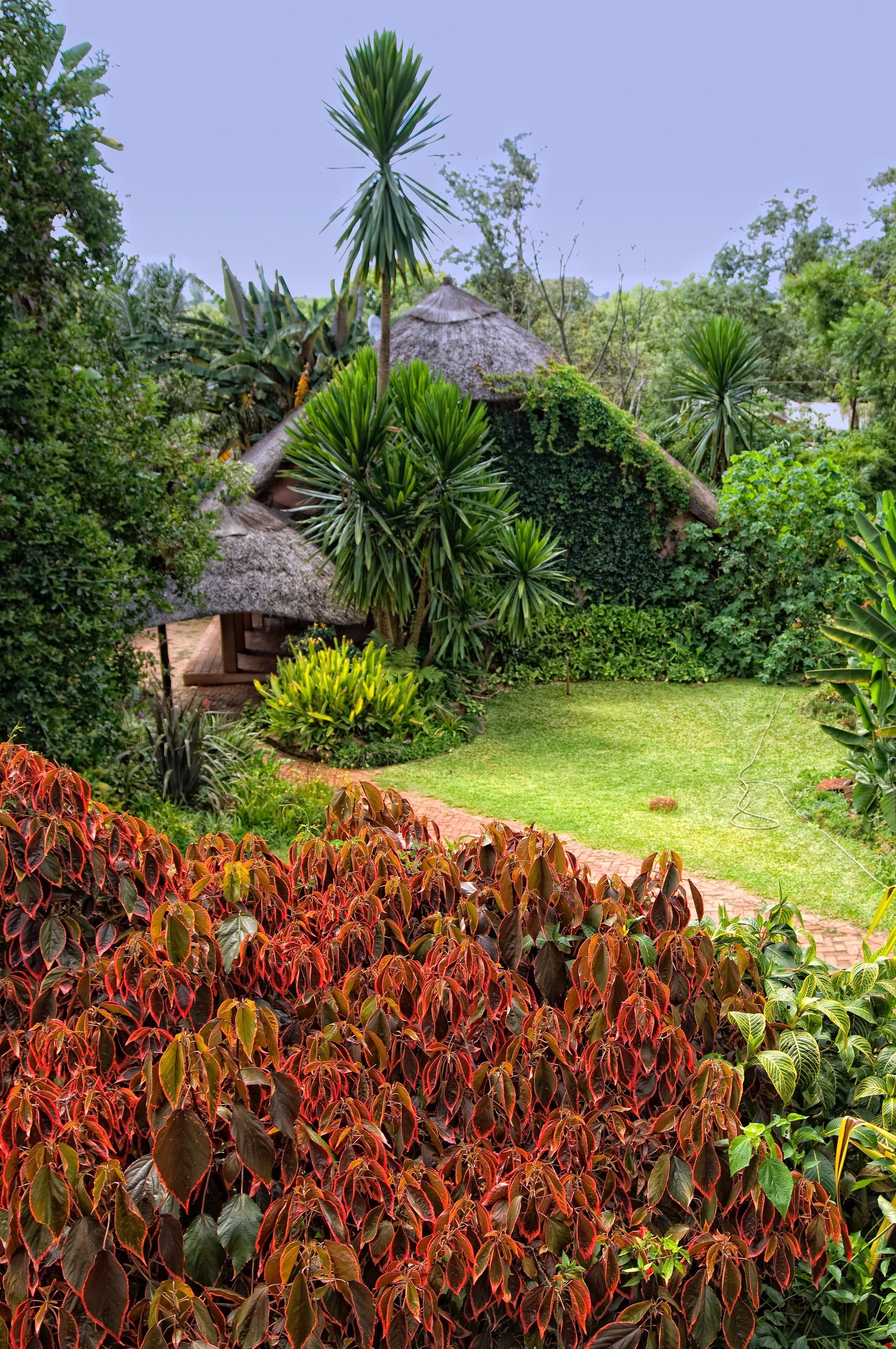Amanzi Lodge