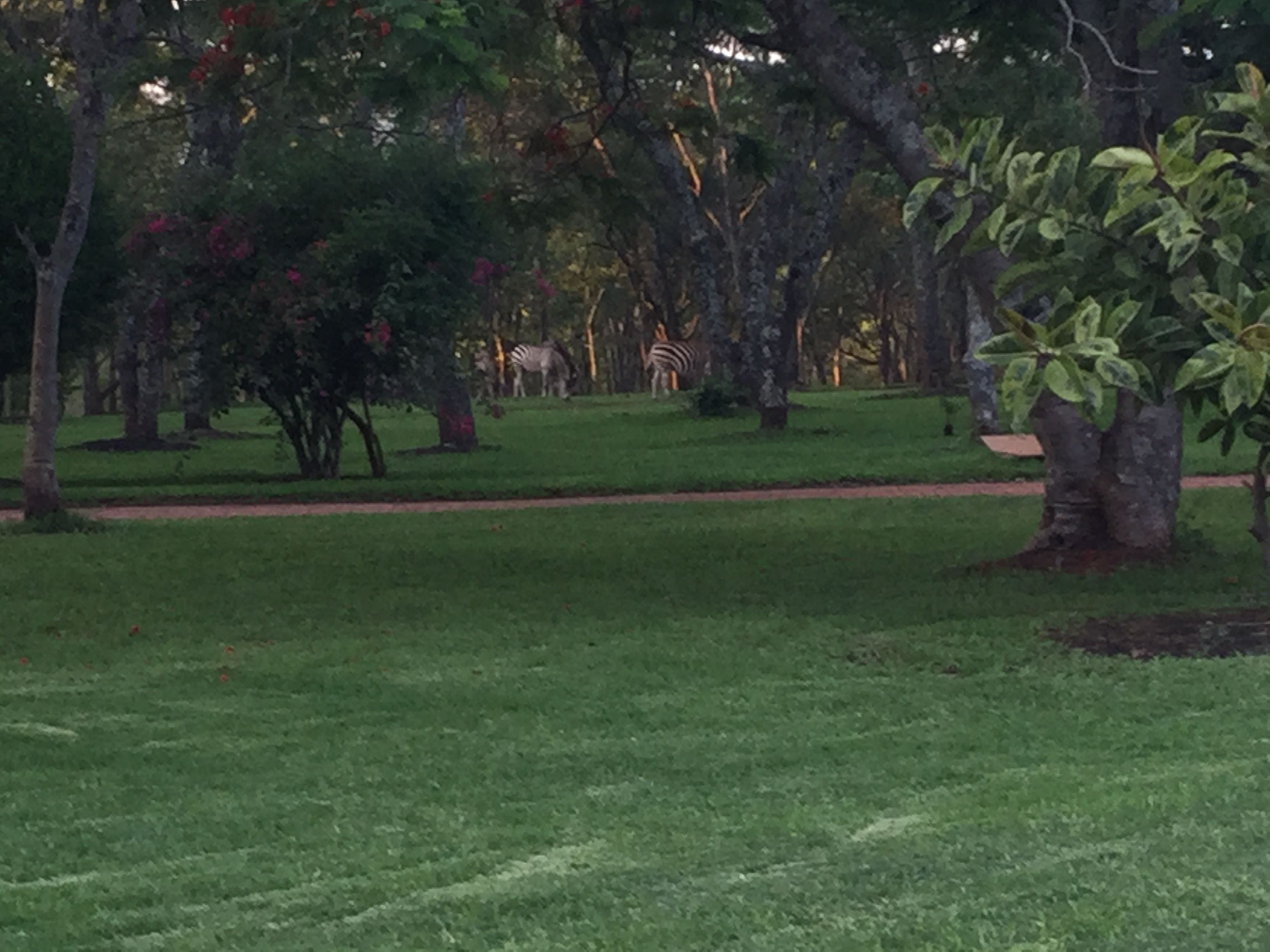 Manna Resorts
