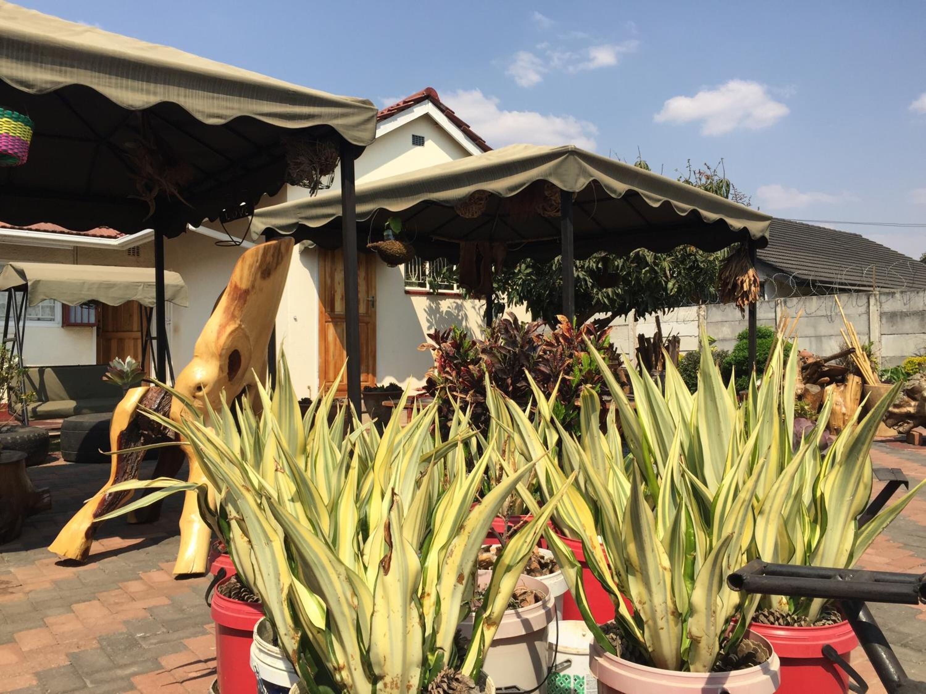 Mpofu Bed & Breakfast