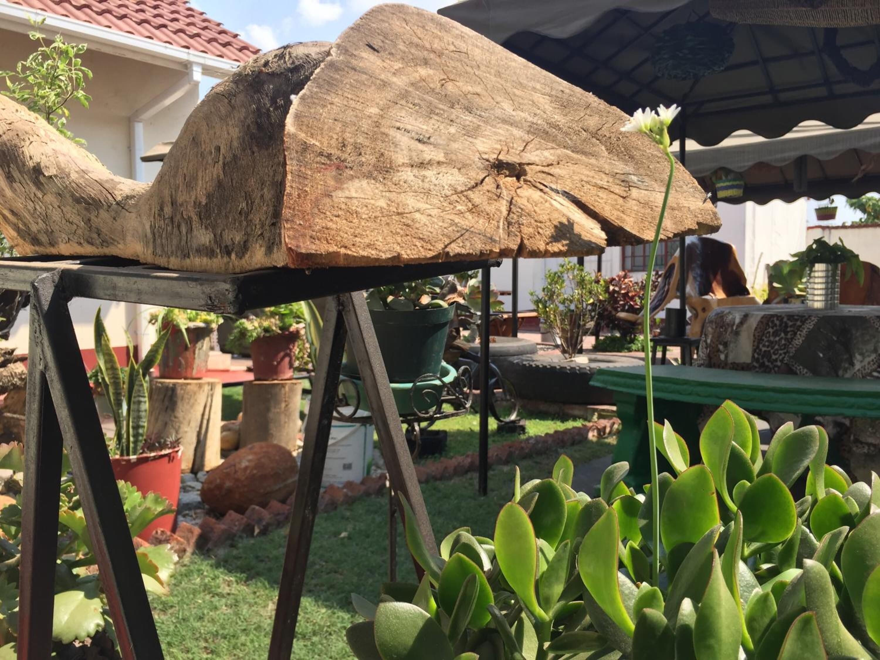 Mpofu Bed & Breakfast