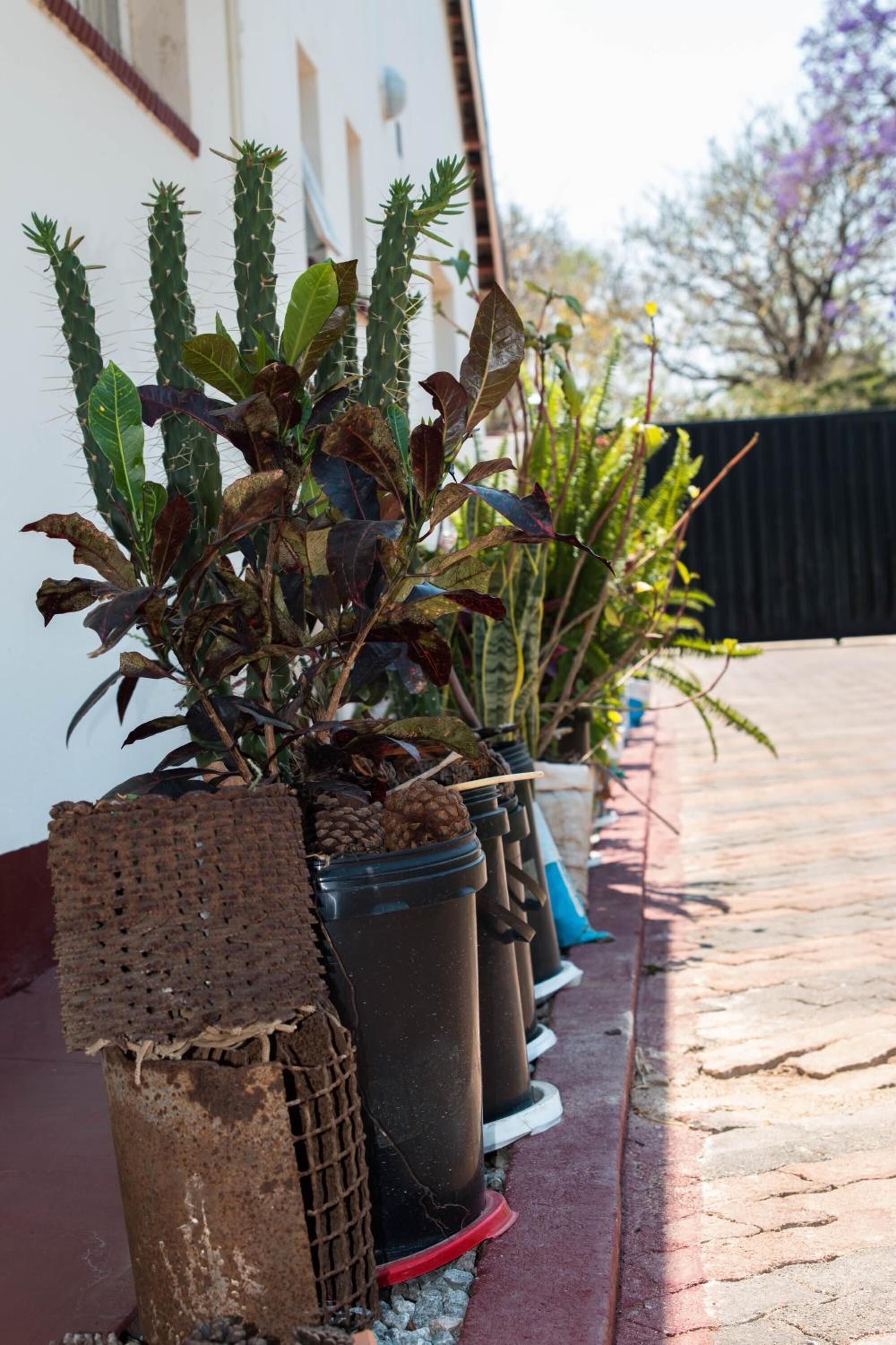 Mpofu Bed & Breakfast