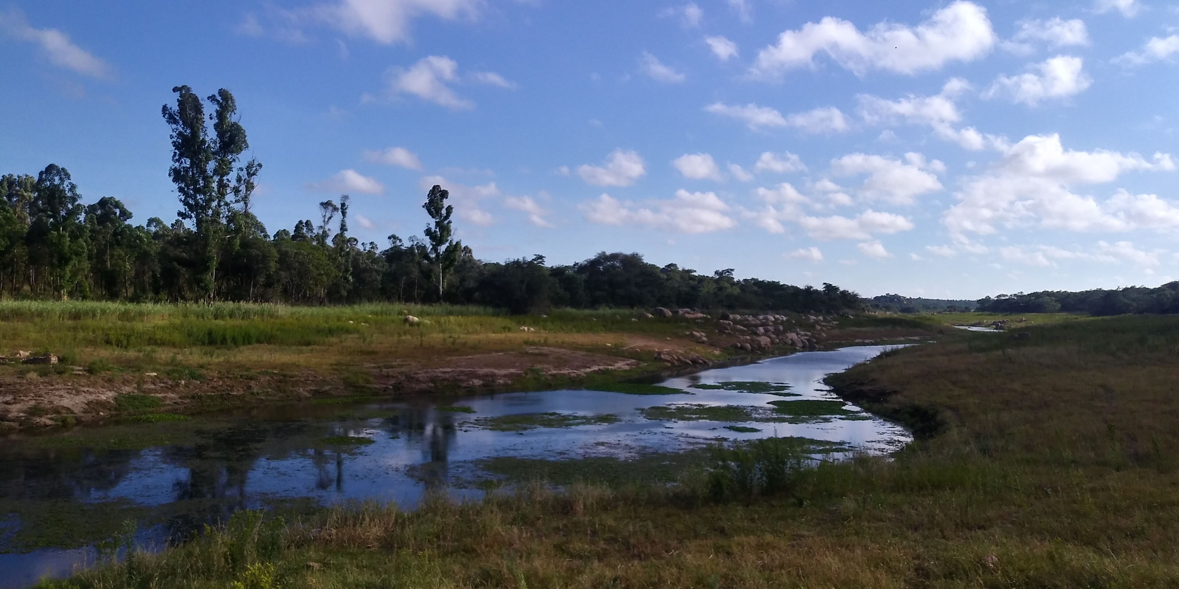 Ruwa River Herbal Clinic & All-Inclusive Oasis Spa Resort