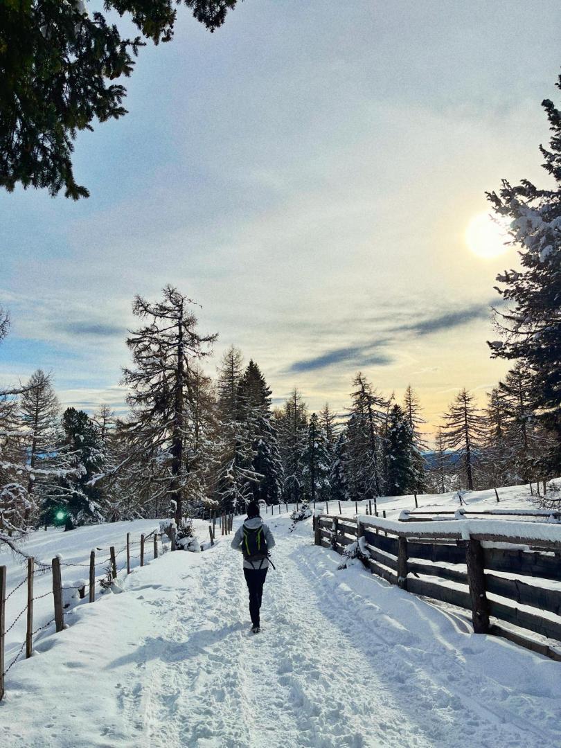 Almzauber Chalets Hochrindl