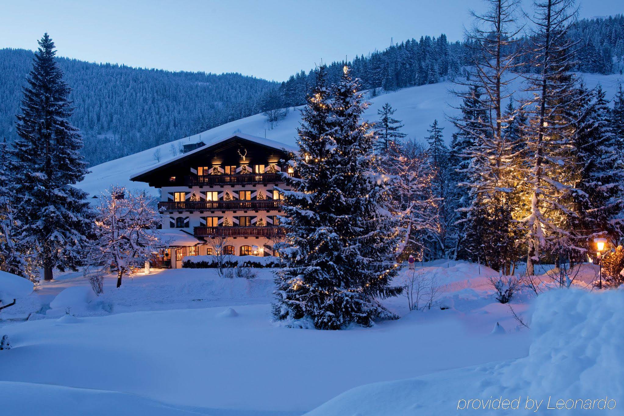 Boutique Hotel Wachtelhof