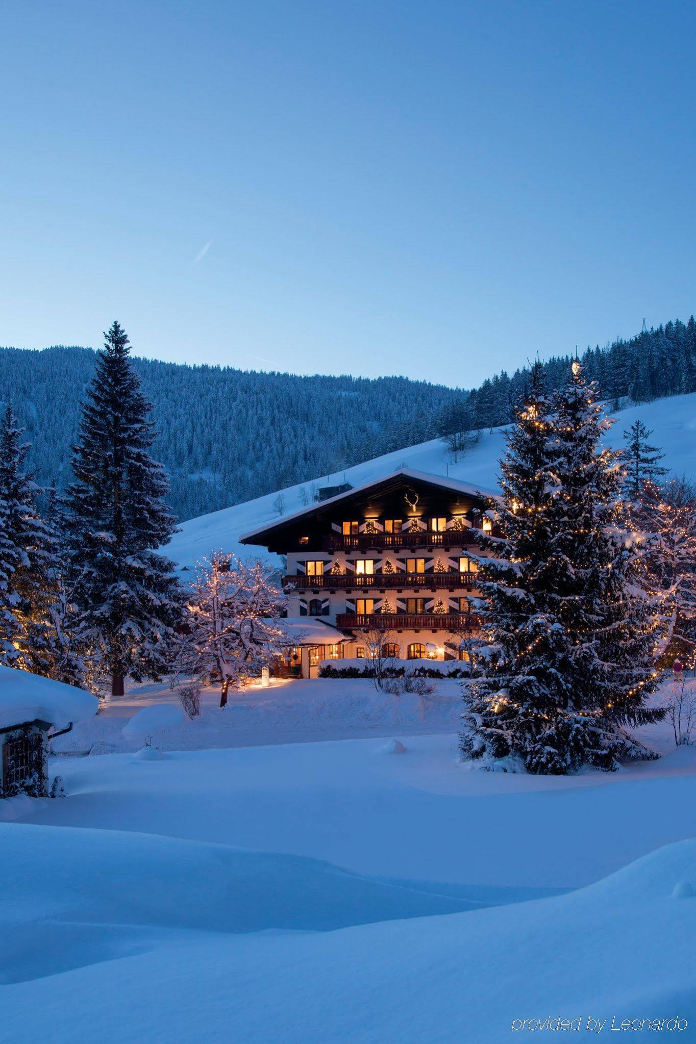 Boutique Hotel Wachtelhof