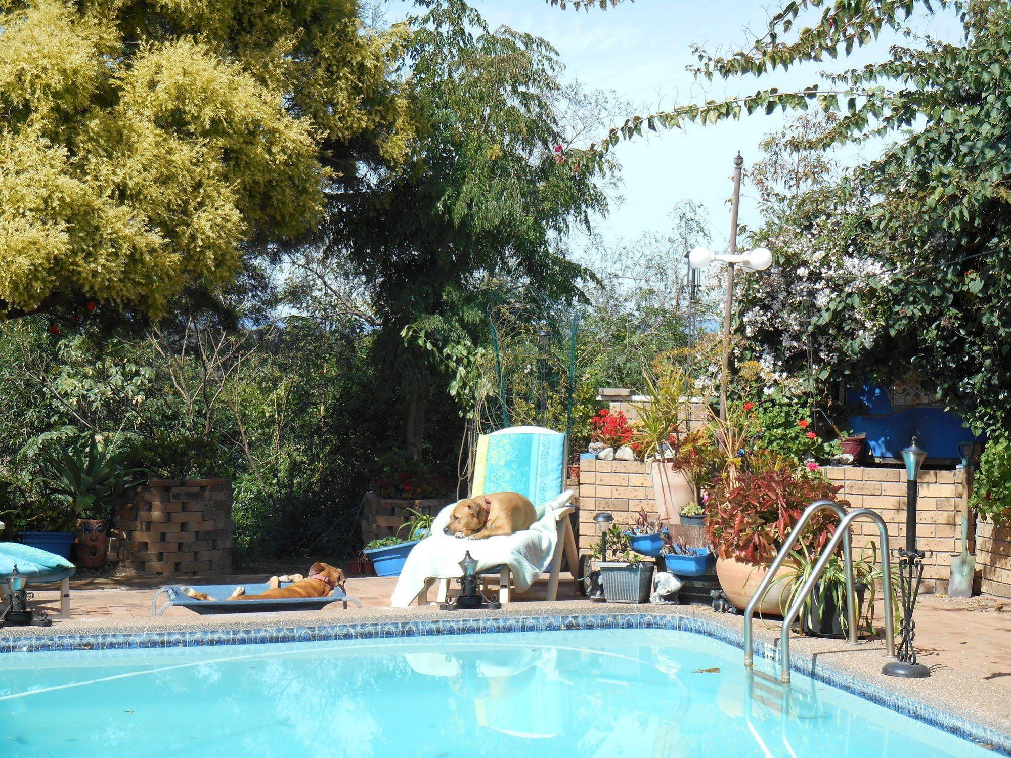 Pindari House