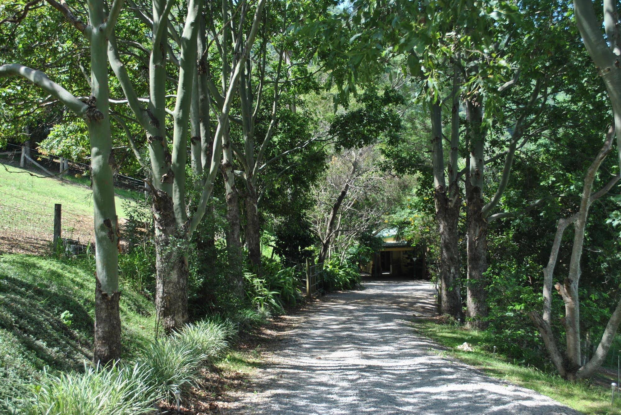 Dayboro Cottages and Llama Walks