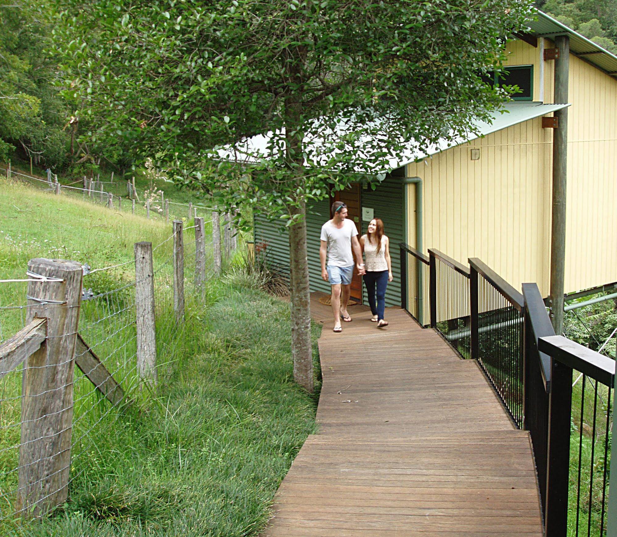 Dayboro Cottages and Llama Walks