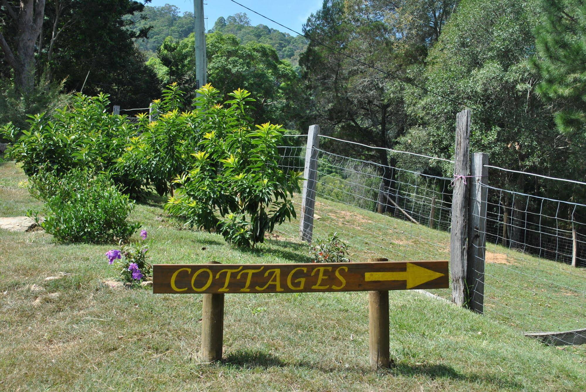Dayboro Cottages and Llama Walks