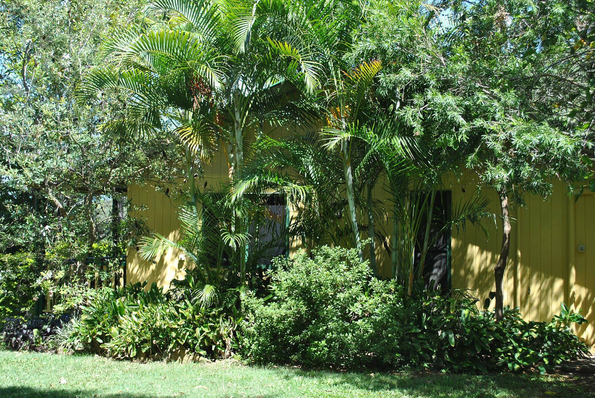 Dayboro Cottages and Llama Walks