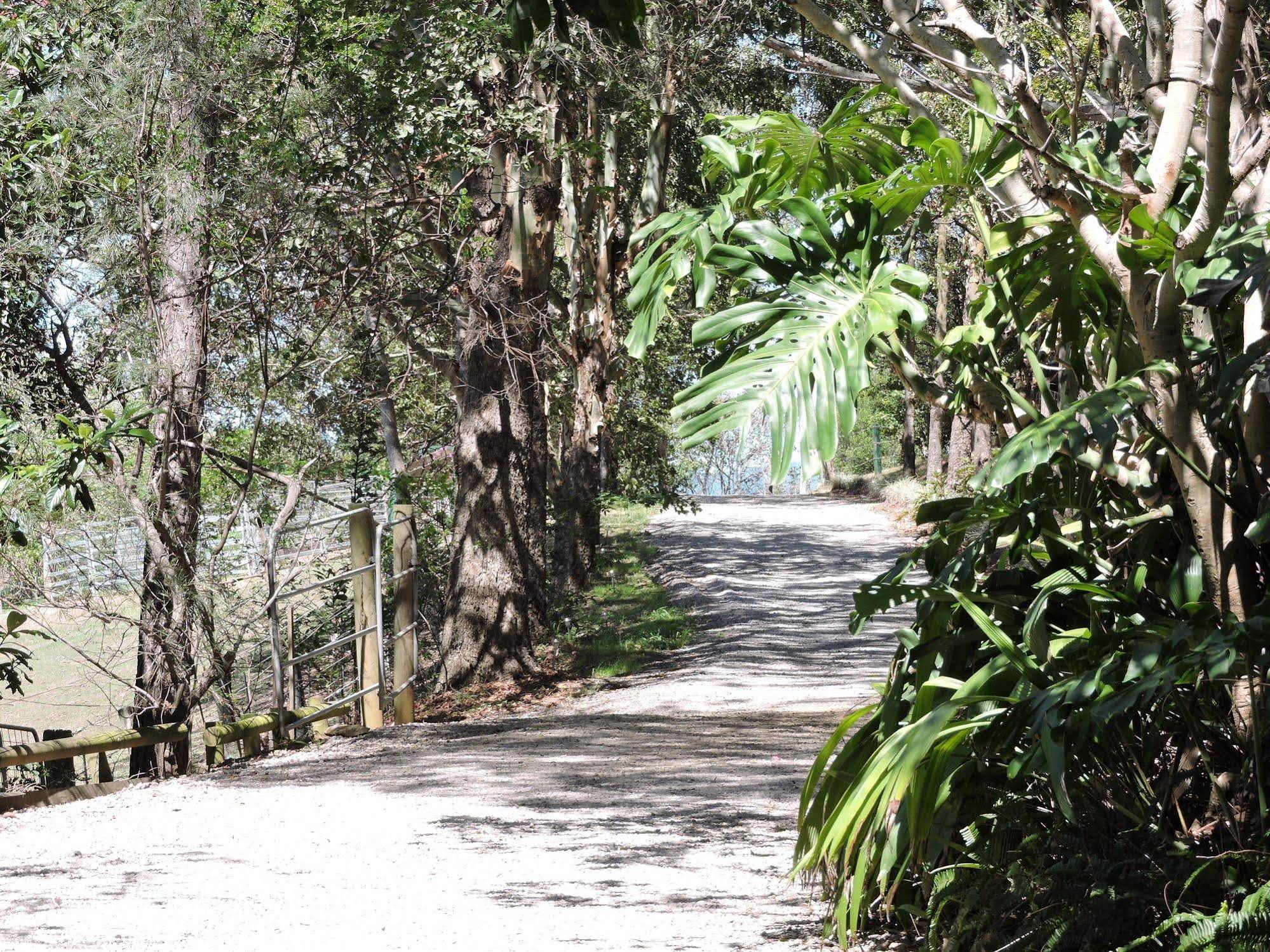 Dayboro Cottages and Llama Walks