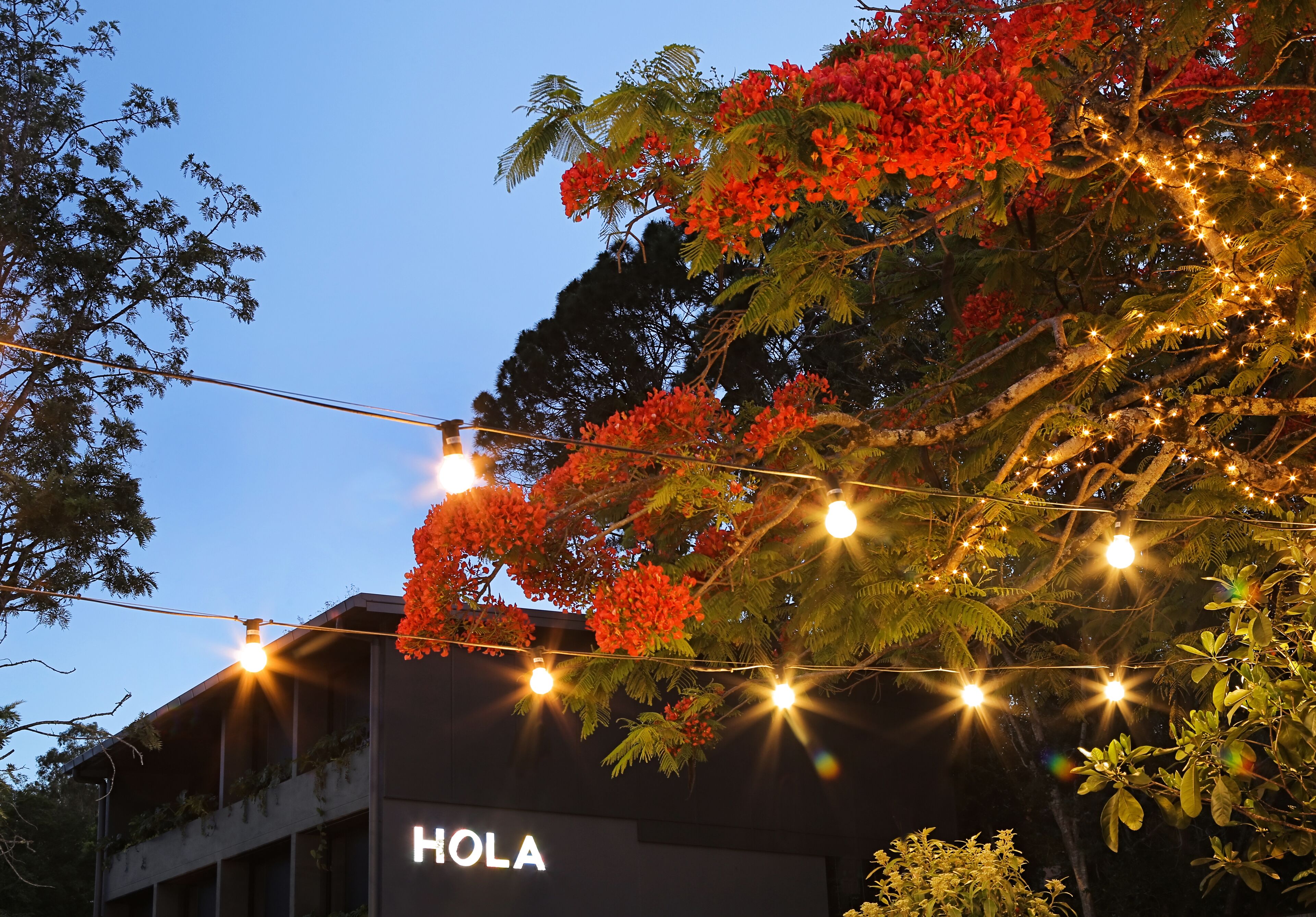 HOLA Eumundi