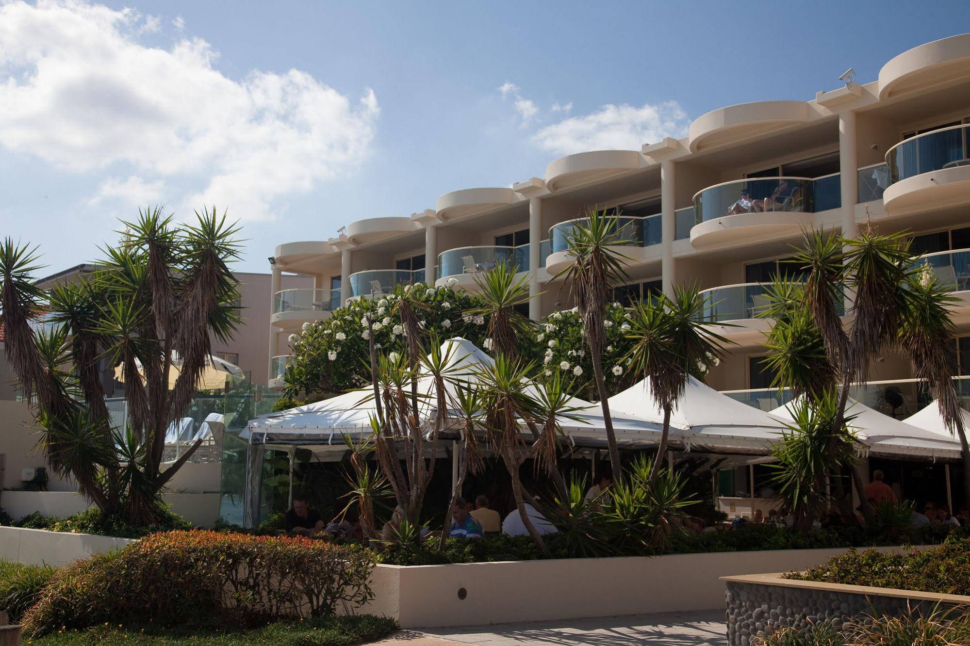 Tingirana Noosa
