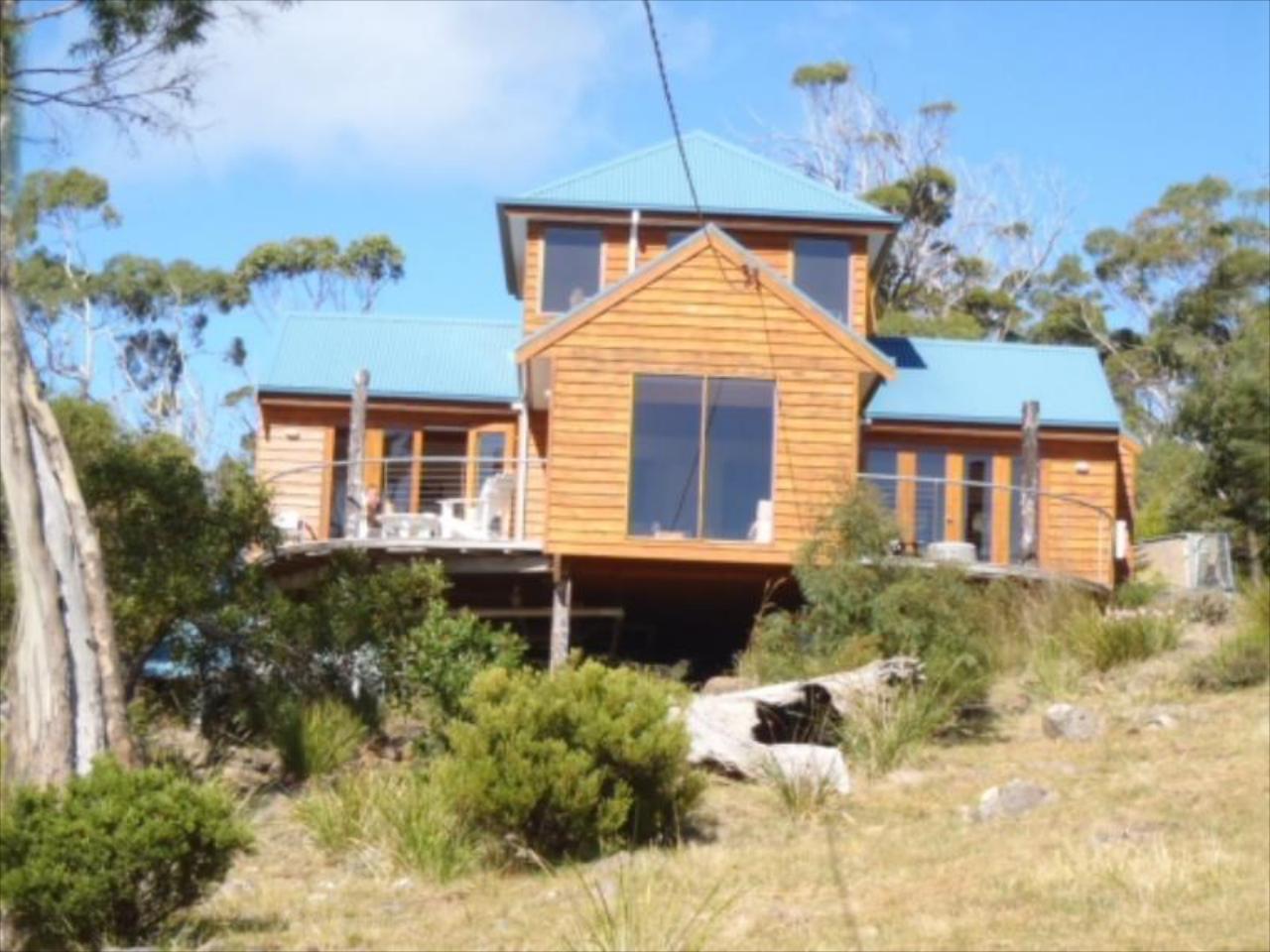 The Tree House