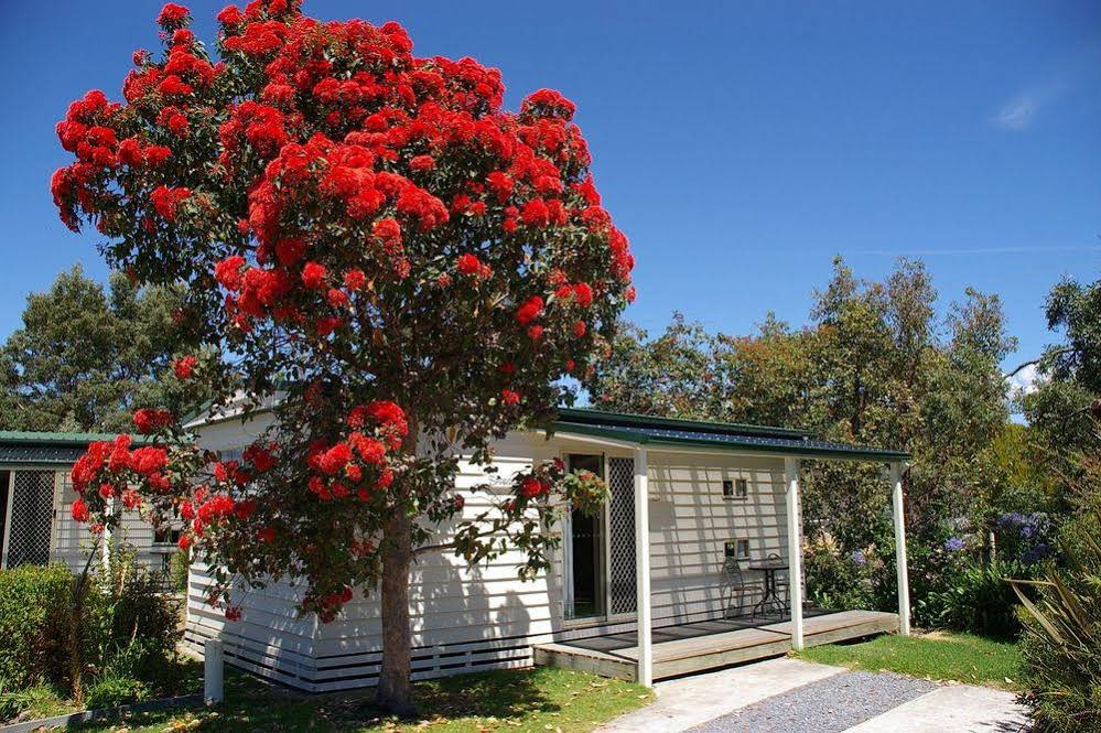 Beauty Point Tourist Park