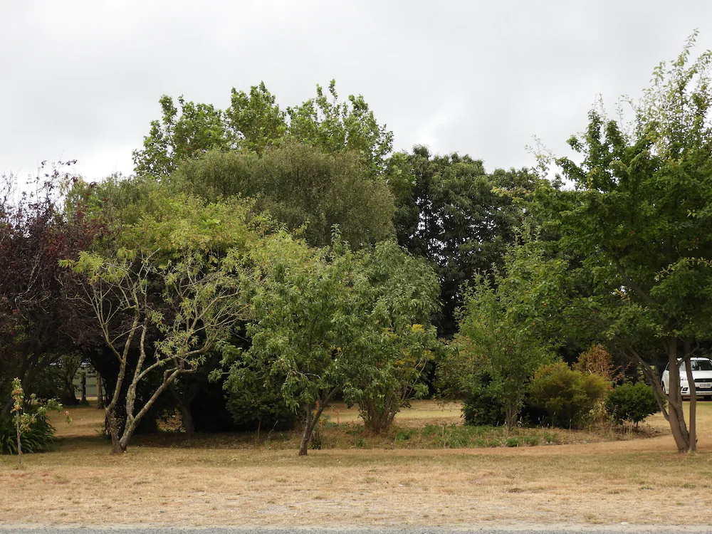 Somerset Beachside Cabin and Caravan Park