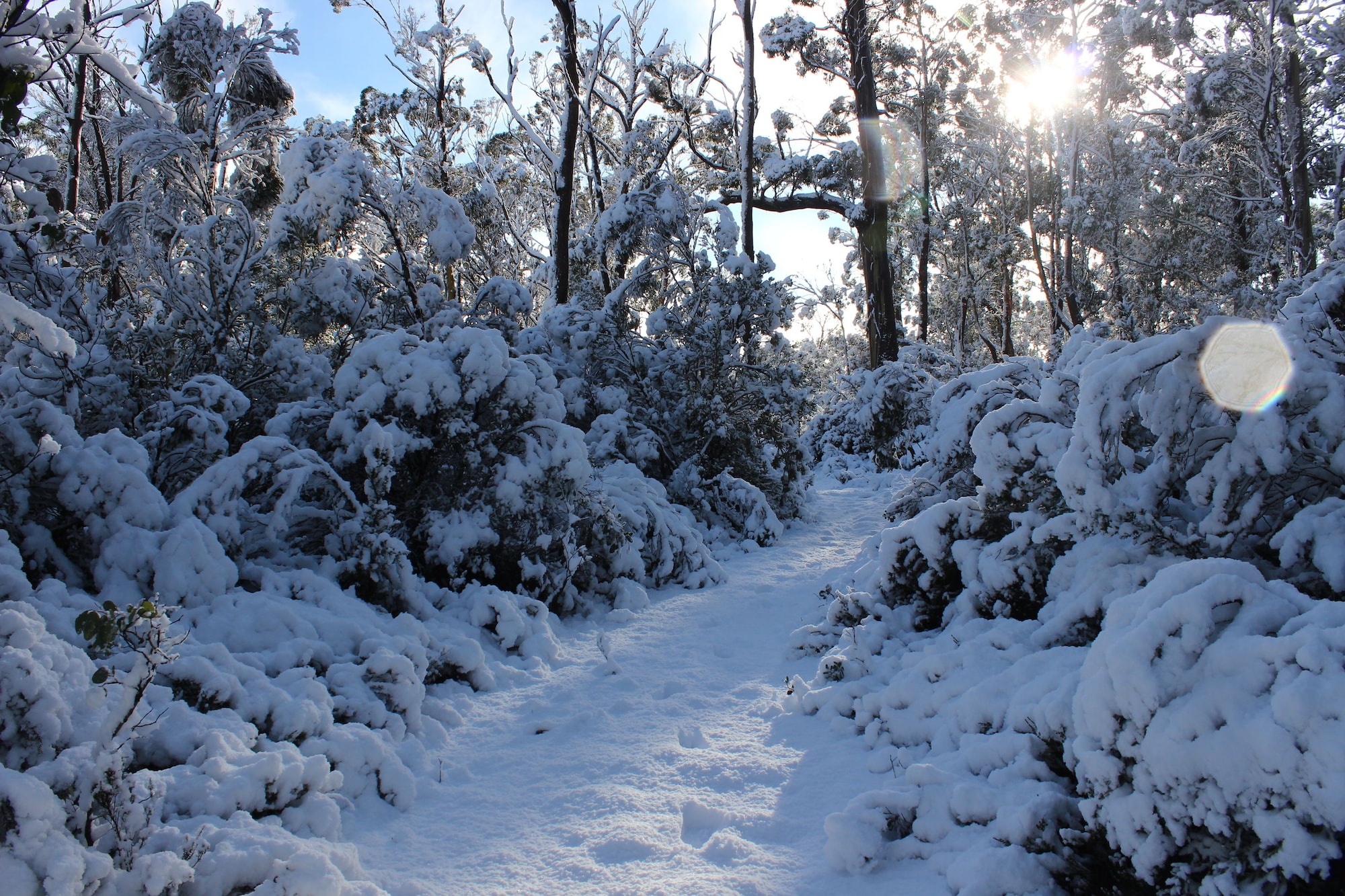 Cradle Mountain Hotel