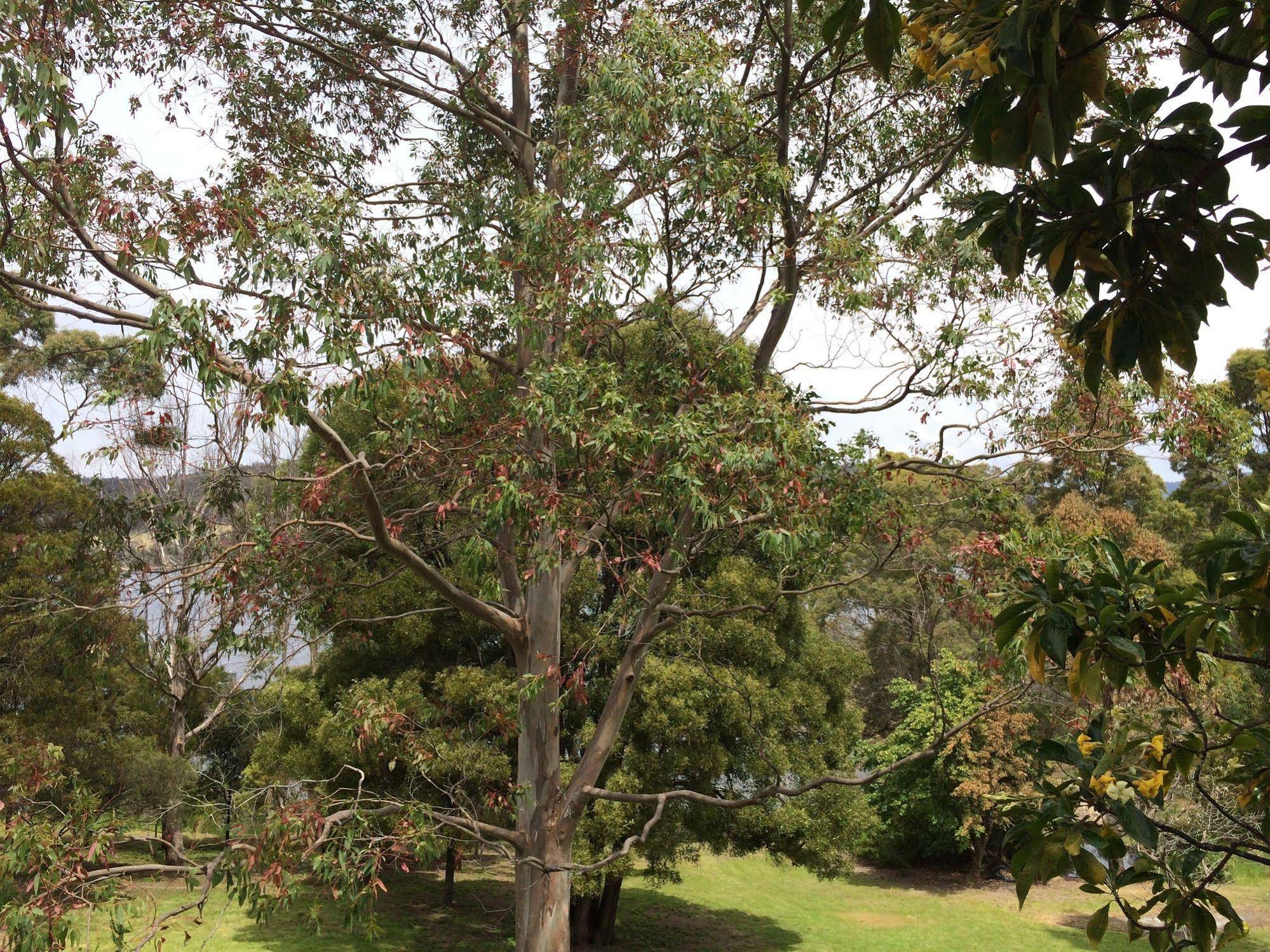 Tranquil Point