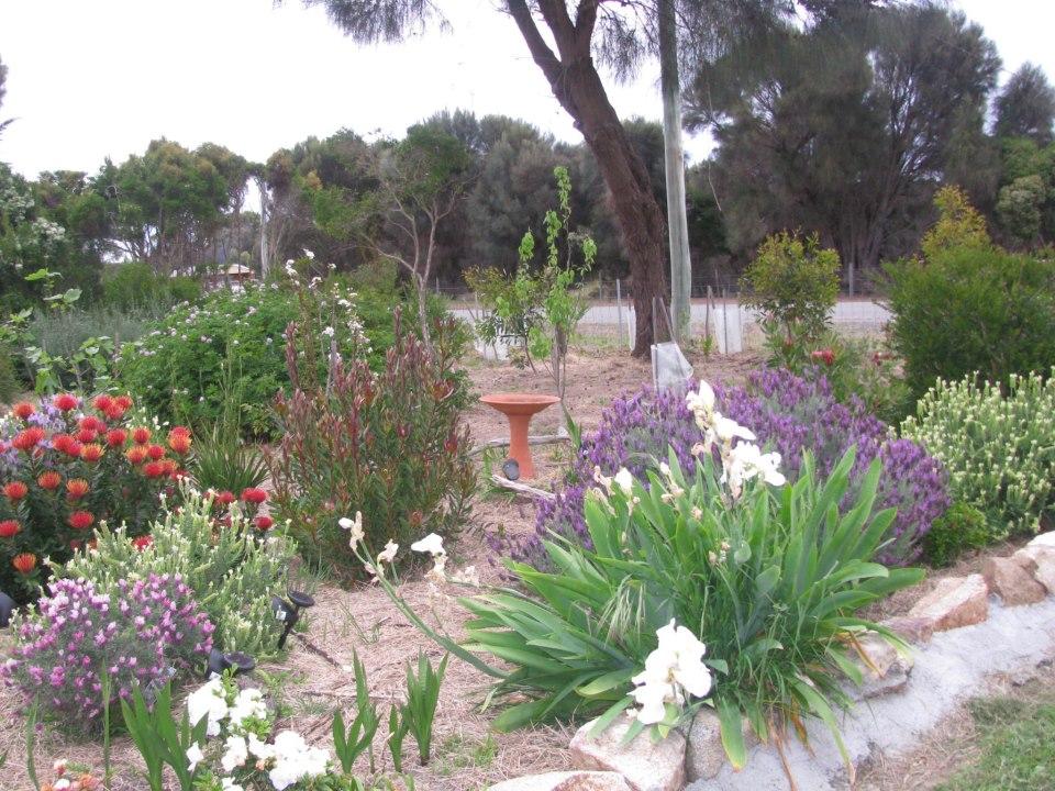 Flinders Island Cabin Park