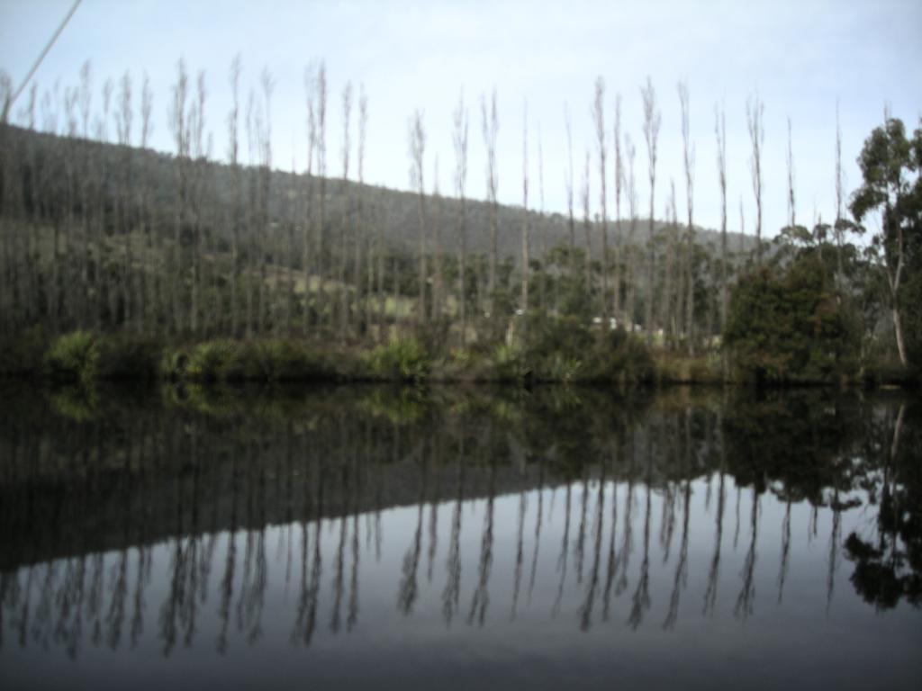 Port Huon Cottages