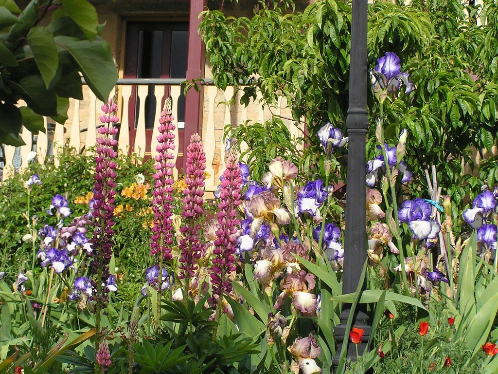 Bendalls Bed & Breakfast