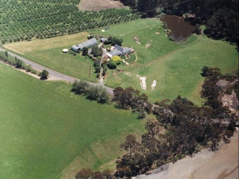 Rosefield Bed & Breakfast