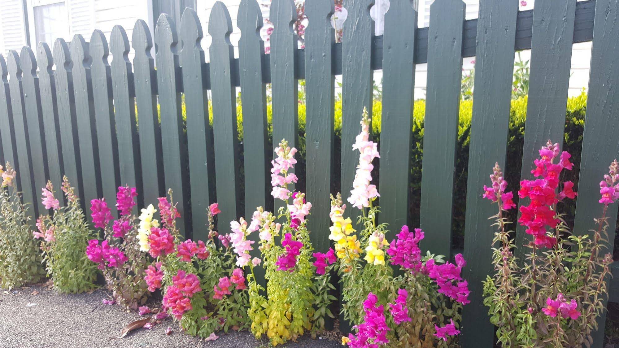 Alice's Cottages & Spa Hideaways