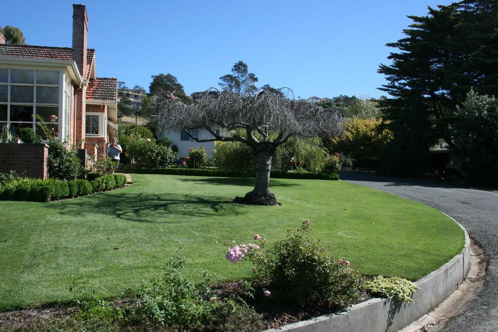 Trevallyn House B & B