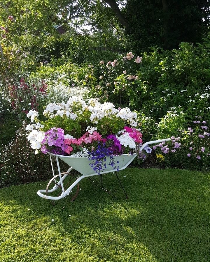 White Dove Cottage Bed and Breakfast