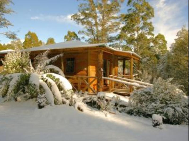 Cradle Forest Inn