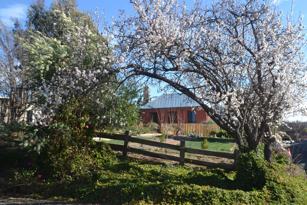 Mulberry Cottage Bed & Breakfast