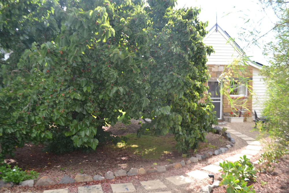 Mulberry Cottage Bed & Breakfast