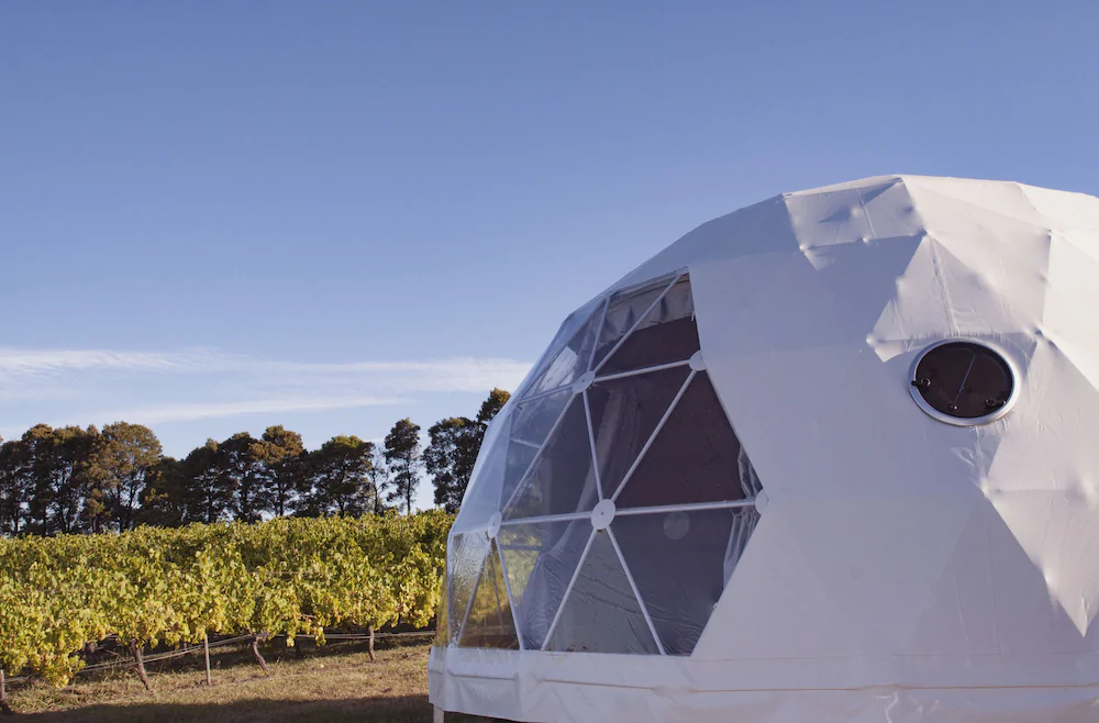 Domescapes In The Vines