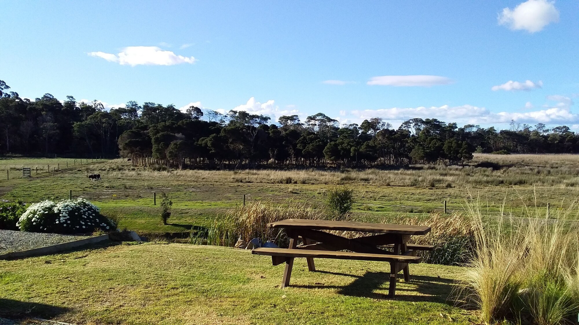 Pelican Point Sanctuary