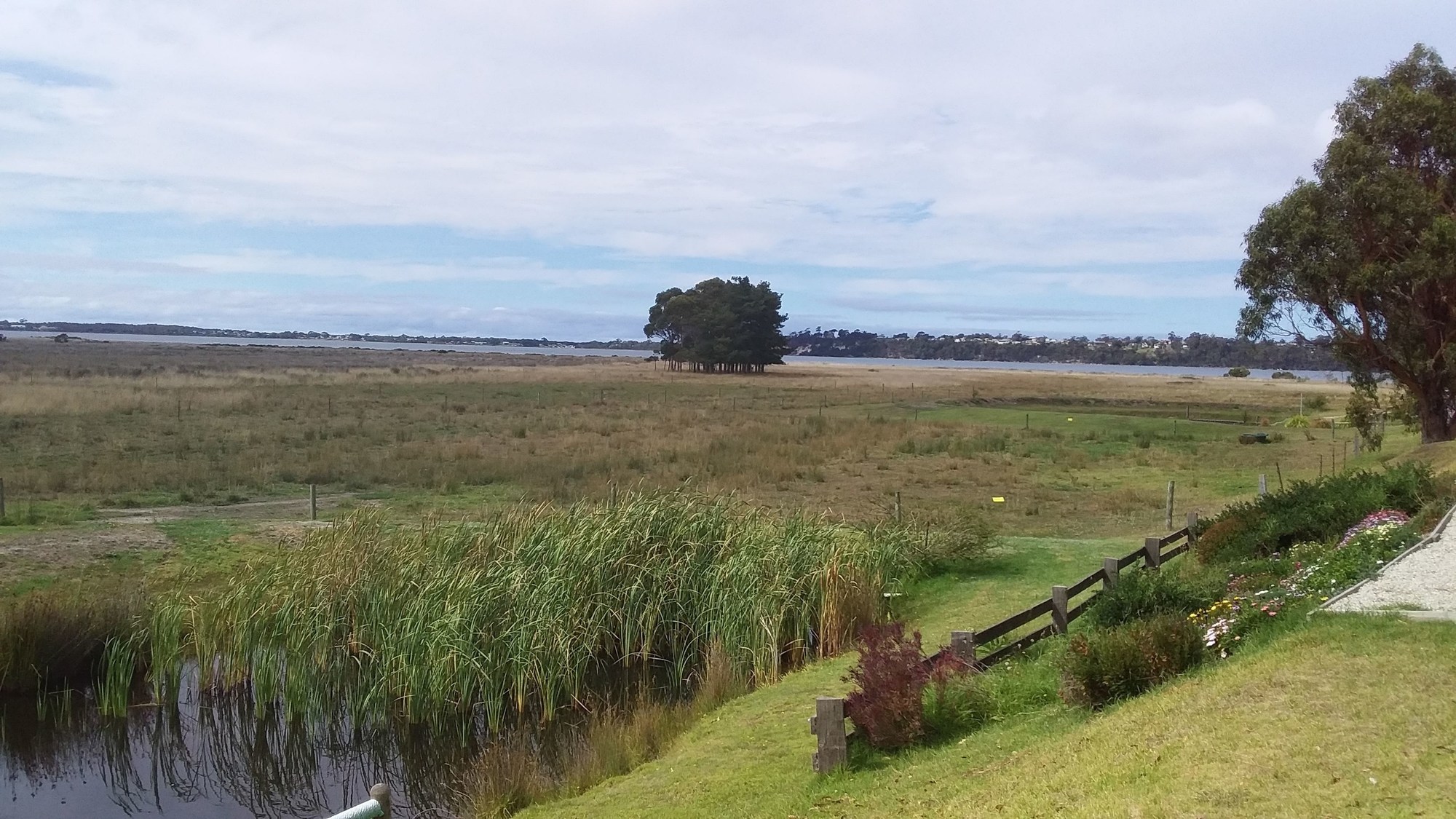 Pelican Point Sanctuary
