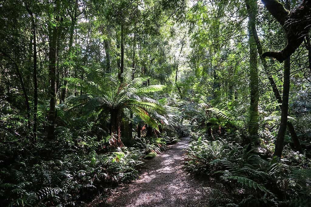 Strahan Wilderness Lodge and Bay View Cottages