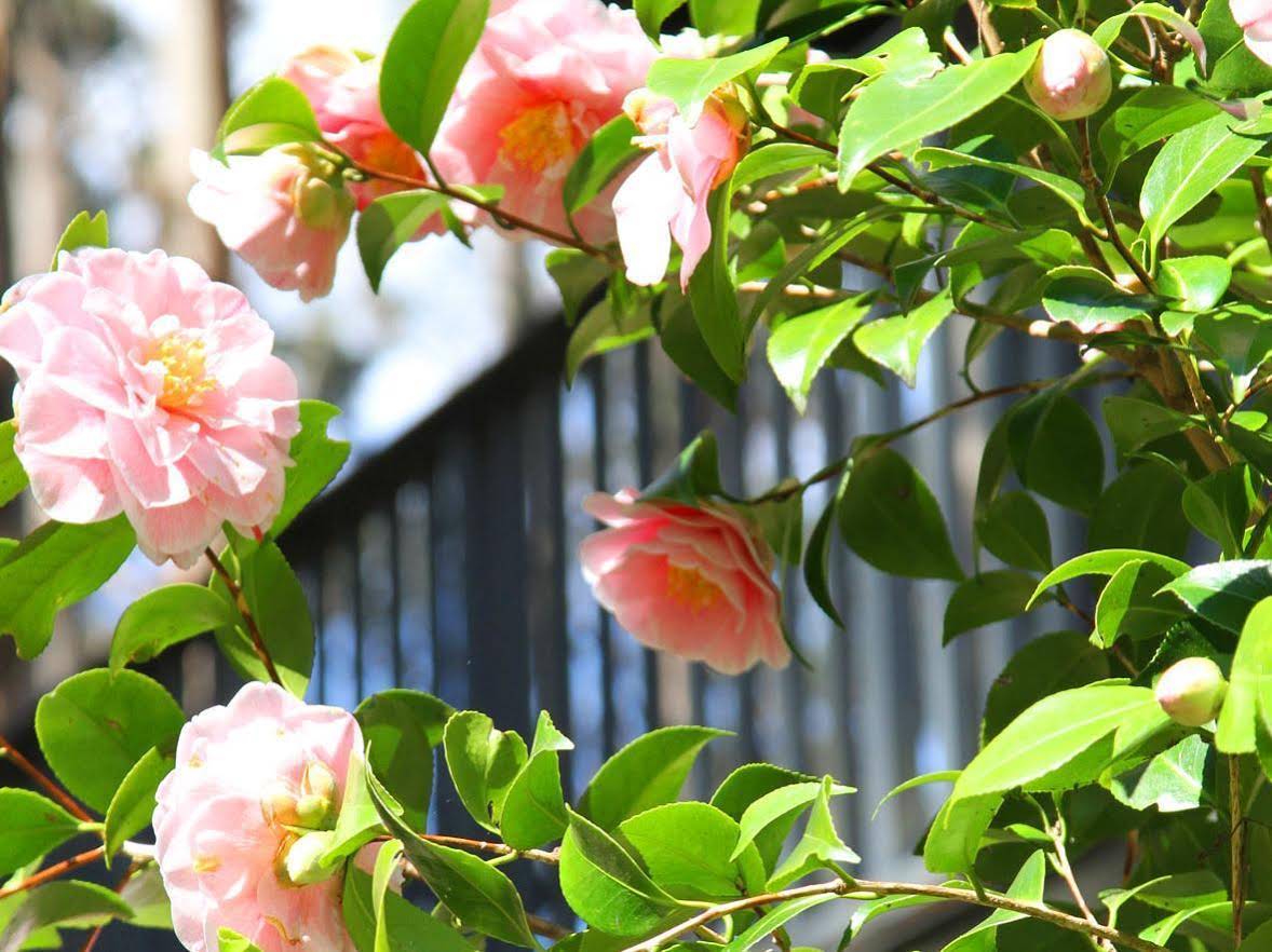 Forest Edge Cottage at Merrow Cottages