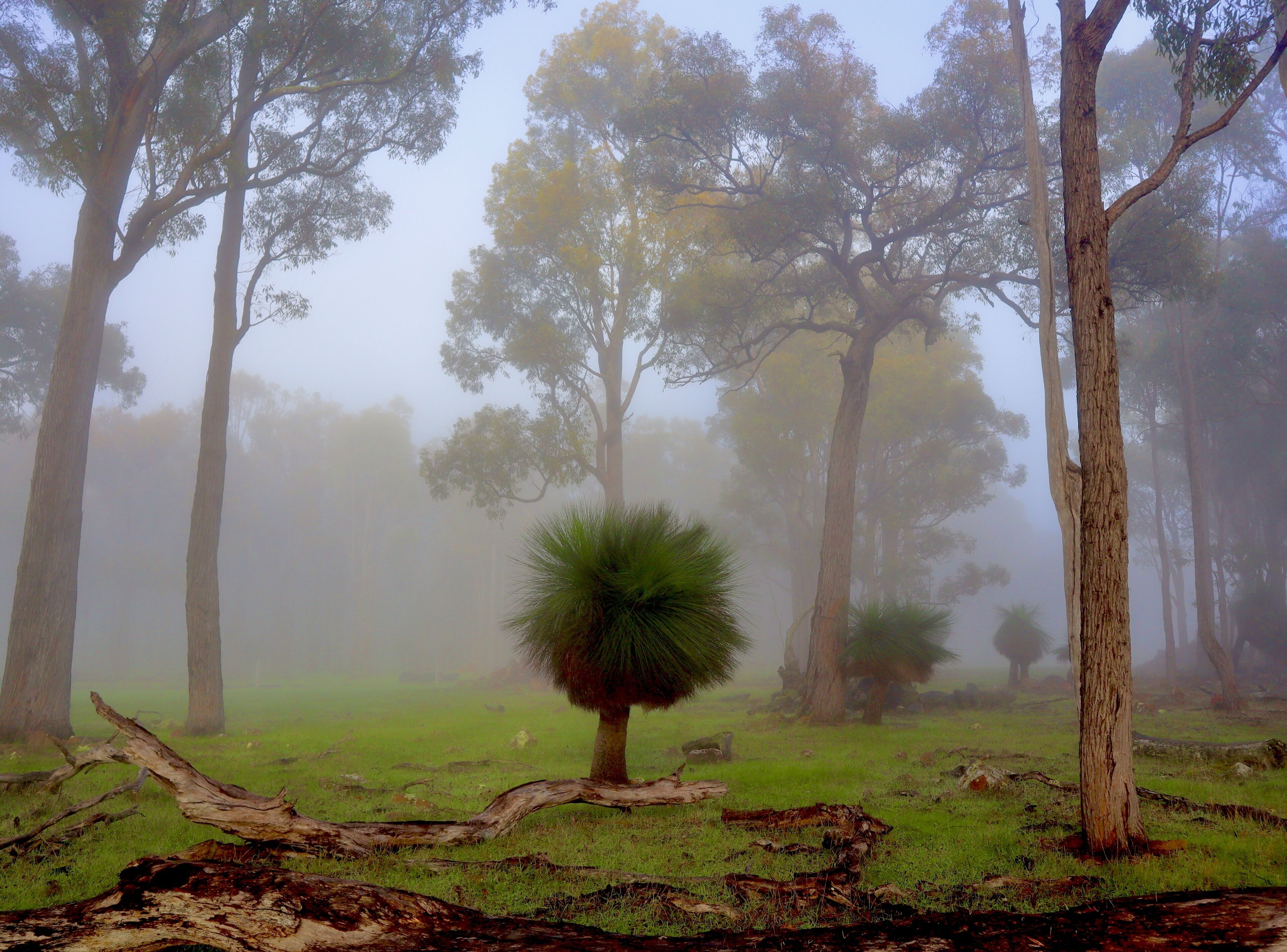 Serenity Gully