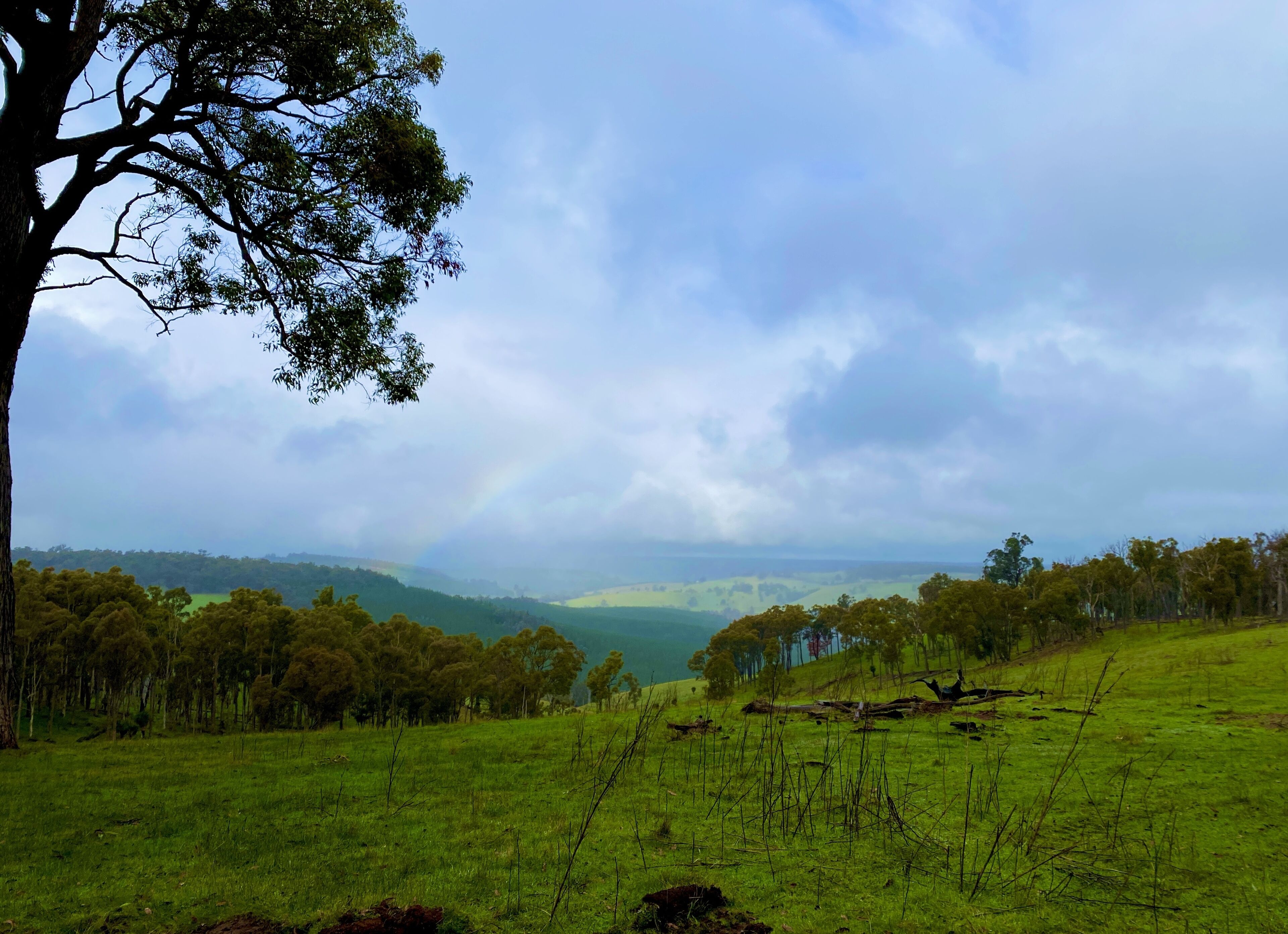 Serenity Gully