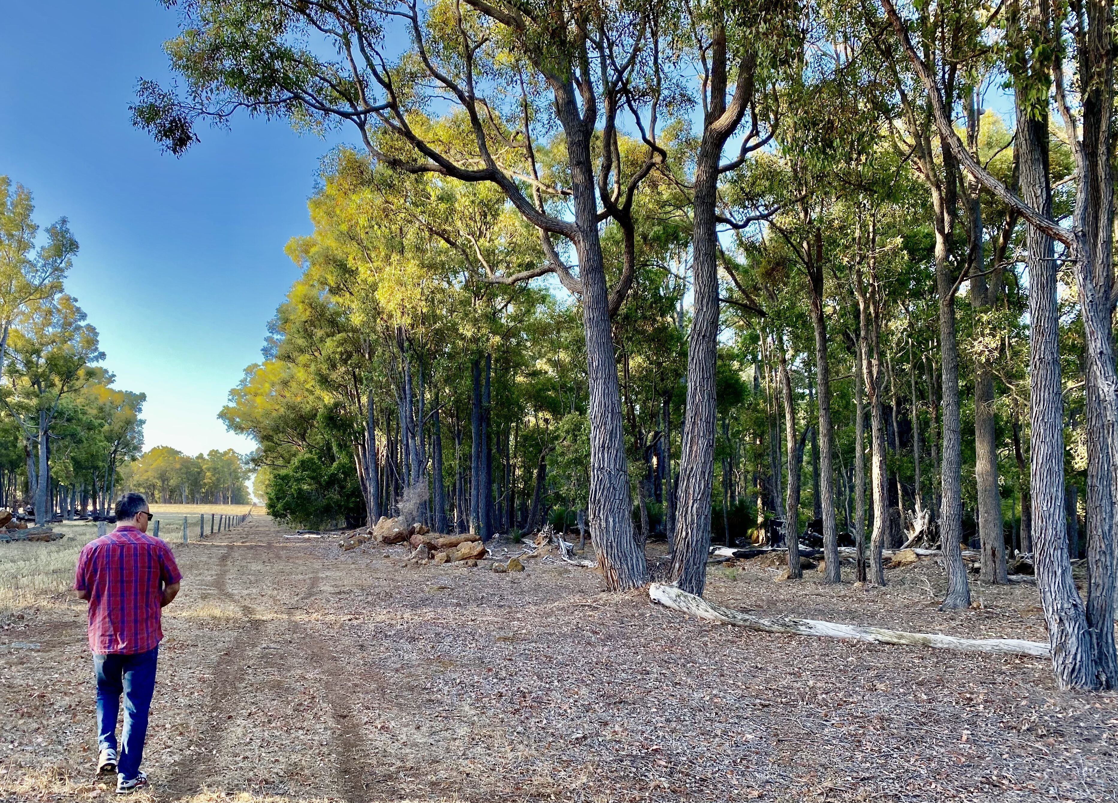 Serenity Gully