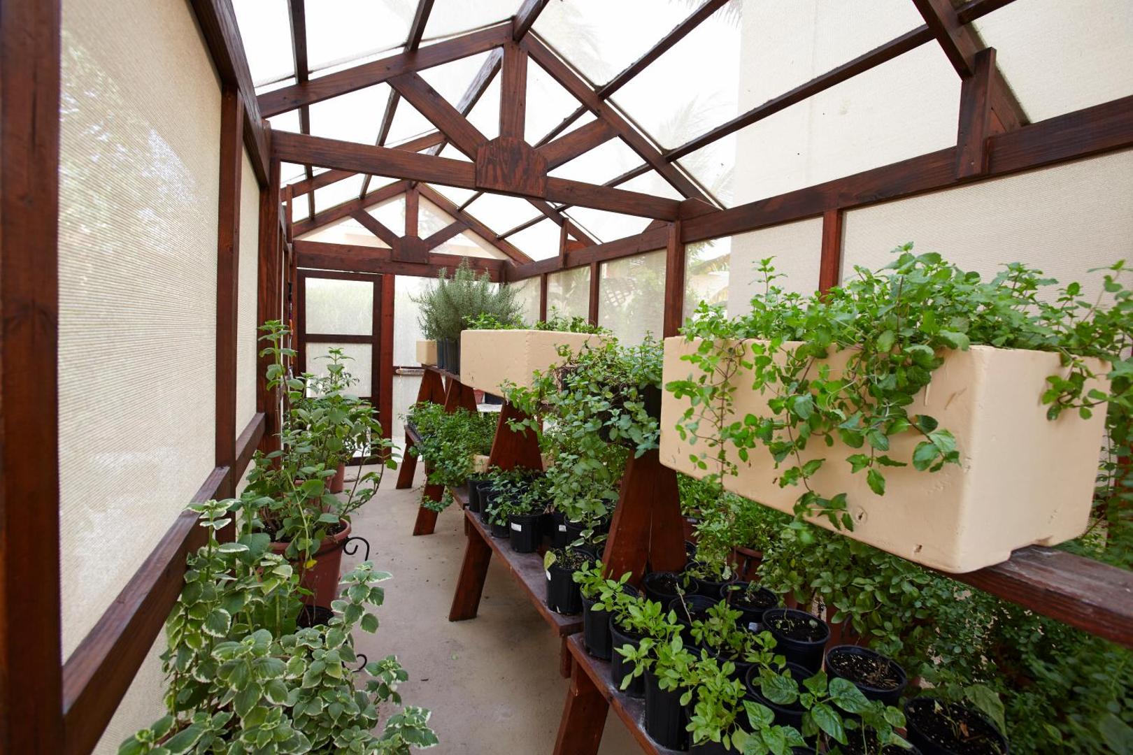 Manchebo Beach Resort & Spa